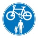 Pedestrian & Cyclist Pathway Symbol